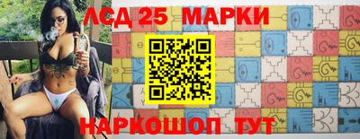 индика Гусев