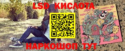 индика Гусев