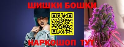 индика Гусев