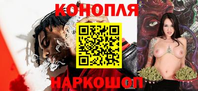 индика Гусев