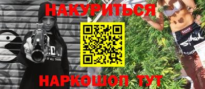 индика Славгород