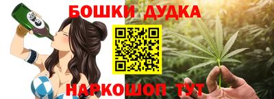 индика Гусев