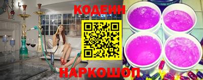 индика Гусев